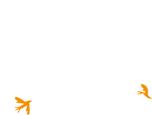 Cinefest São Jorge